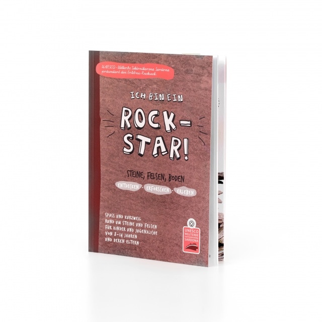 buch-ich-bin-ein-rock-star