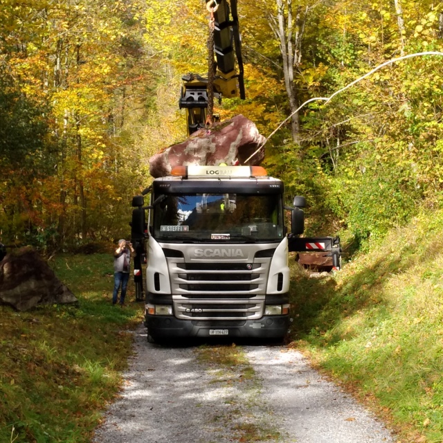 TEK, TO und NIK auf dem Nachhauseweg