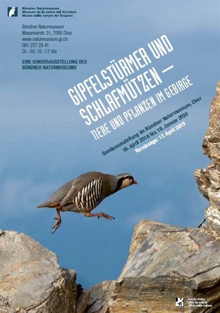 Ausstellung Gipfelstürmer__w_450__h_0