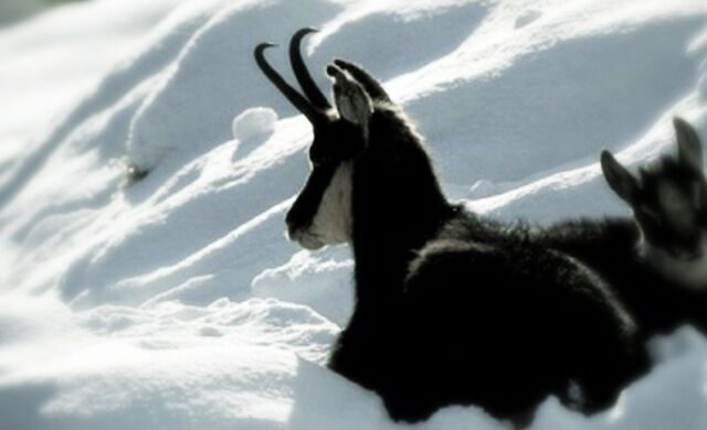 respektiere deine Grenzen3