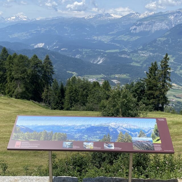 IMG_3415_s_ausschnitt