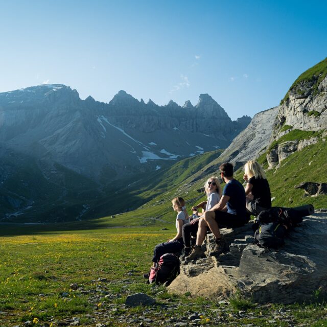 welschinger-web3000px-00204_ausschnitt_s