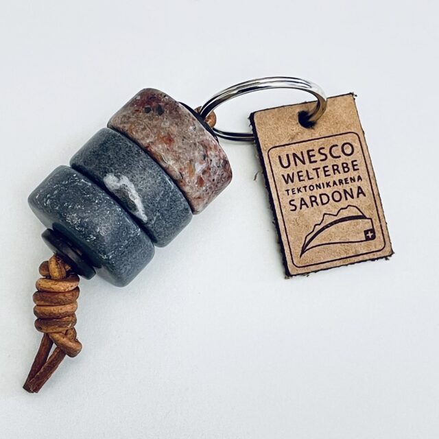 IMG_8482_ausschnitt_s